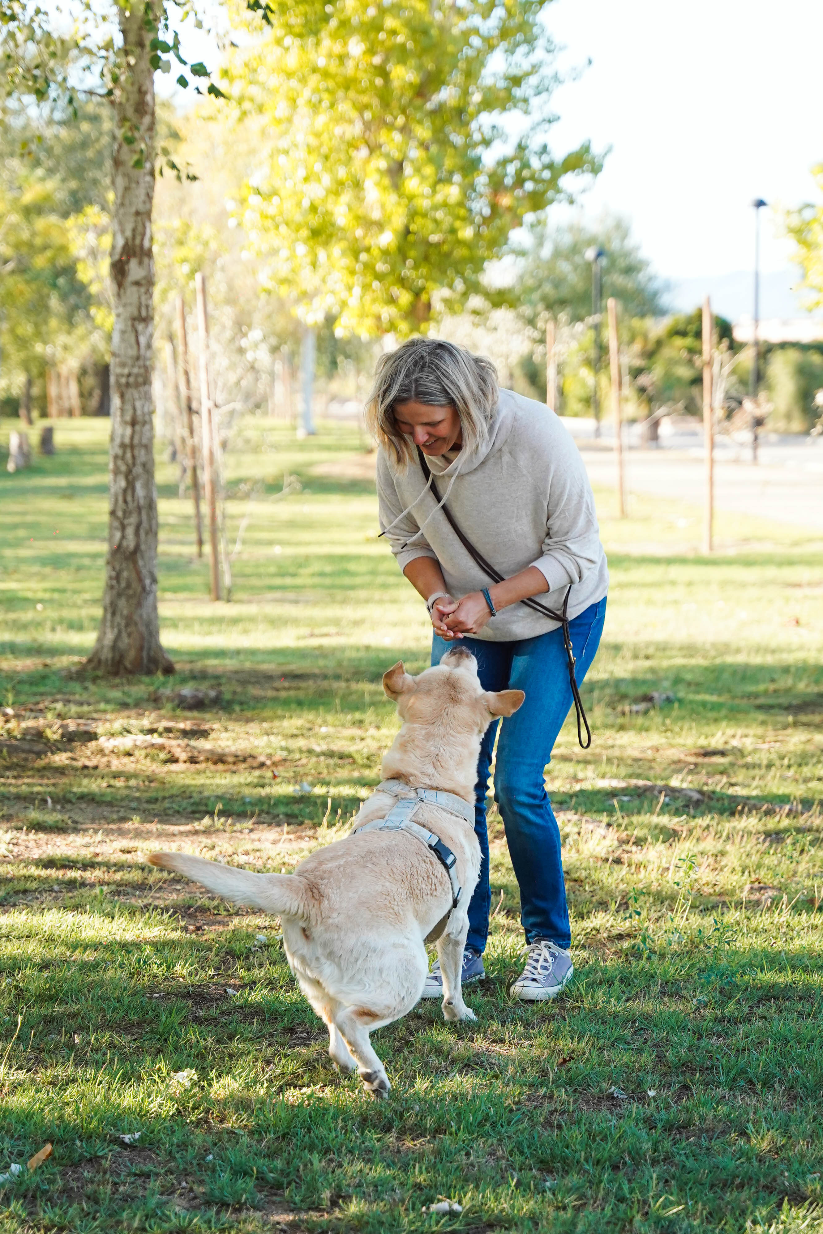 Mobiles Hundetraining in Offenau – Christine Döring arbeitet mit Hund im Park