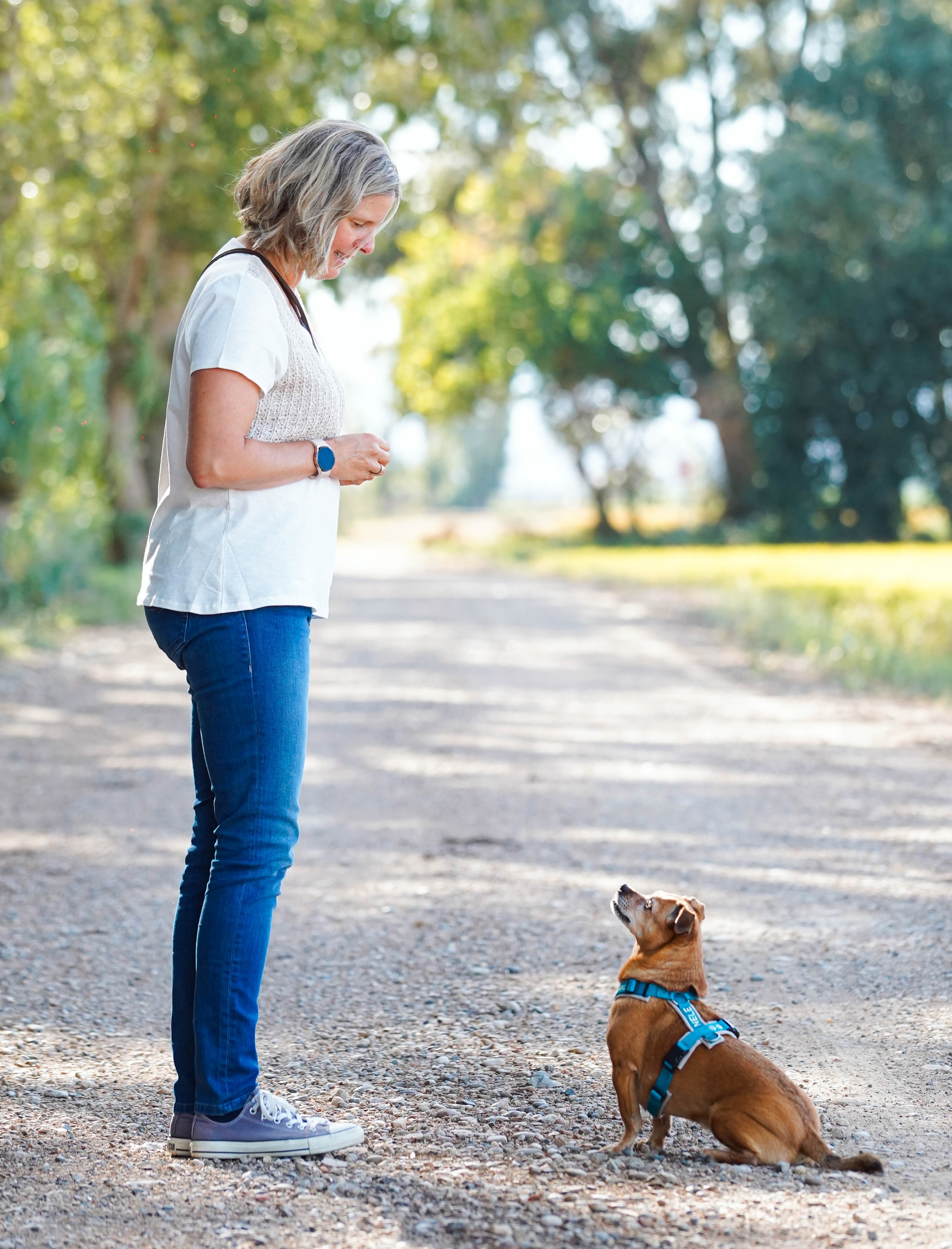 Hundetrainerin beim individuellen Einzeltraining mit Hund in Offenau