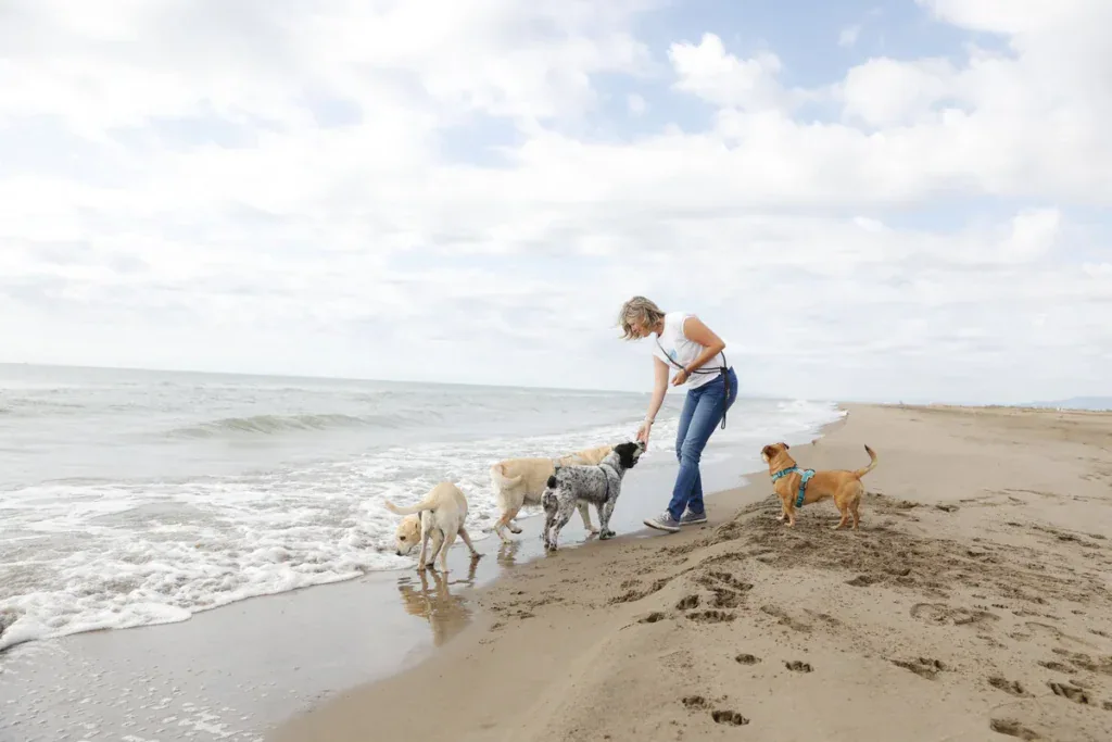 Christine Döring mit mehreren Hunden am Strand